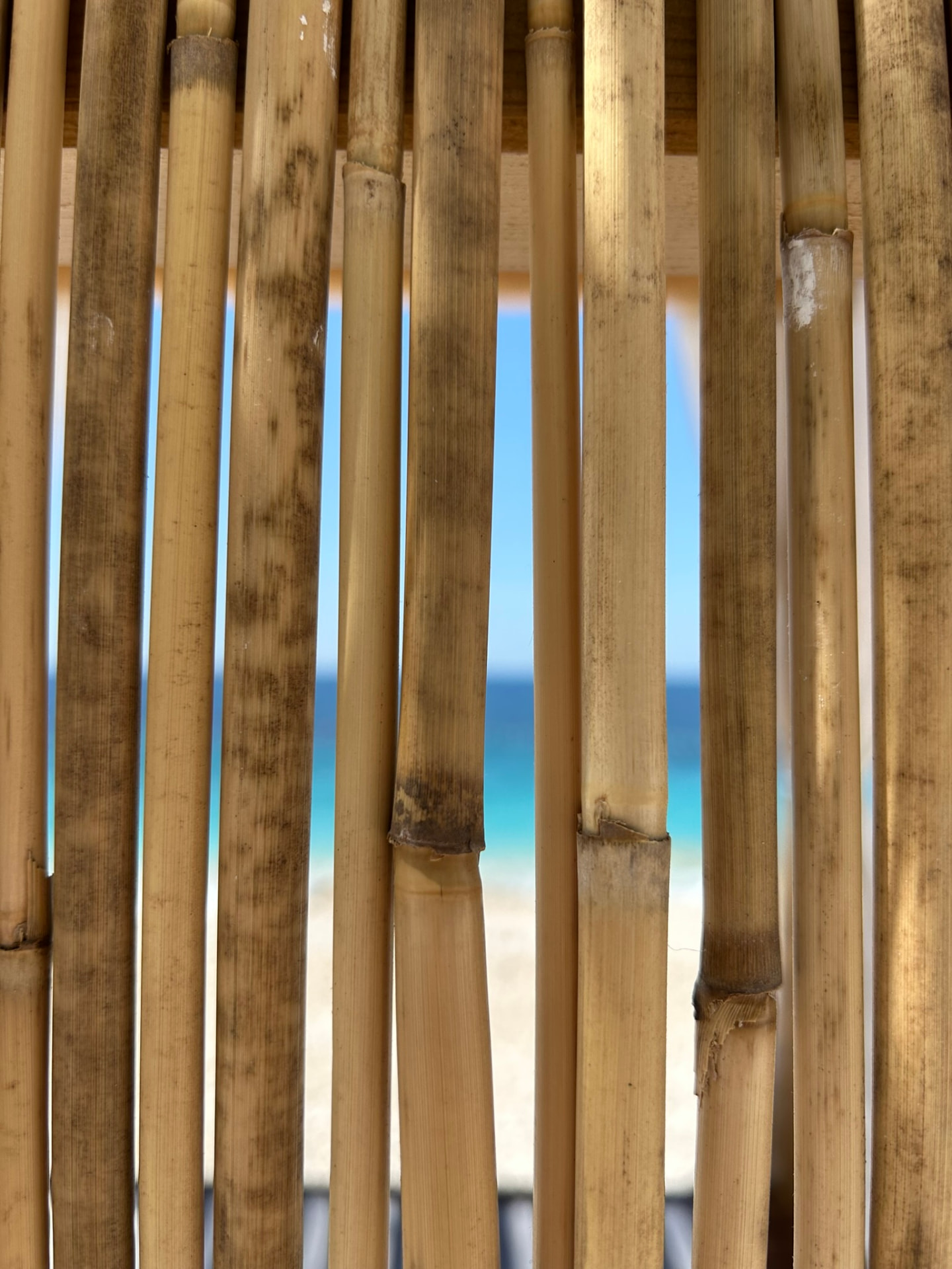 Bamboo wall of a cabana with the turquoise sea in the background